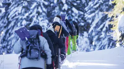 Mountain survival in French alps