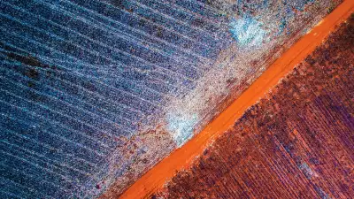Road in Pretoria, South Africa from Drone Photography Masterclass