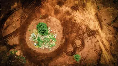 tracks surrounding a tree from Drone Photography Masterclass