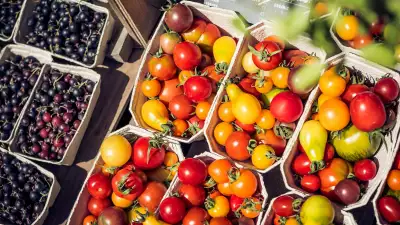 Tomatoes at Daylesford