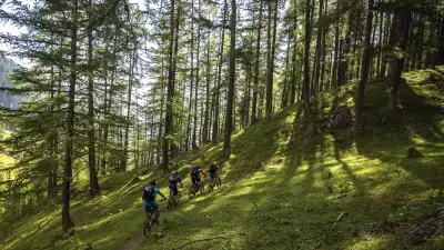 Riding through forest on the GR58 route in the southern French Alps