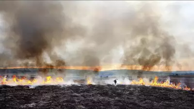 Heather Burning, Lancashire, Yorkshire Border, England