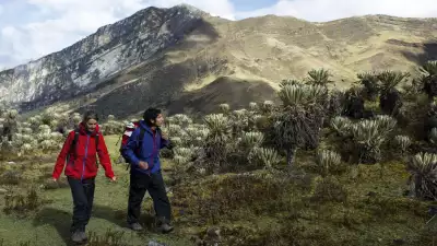 Hiking in carbon-neutral P&aacute;ramo gear