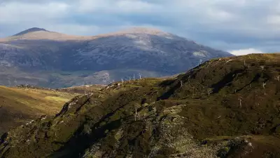 Landscape Alladale, Scotland