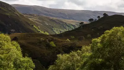 Landscape shot, Alladale, Scotland