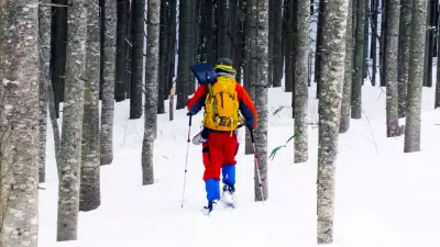 Snowshoeing in Japan