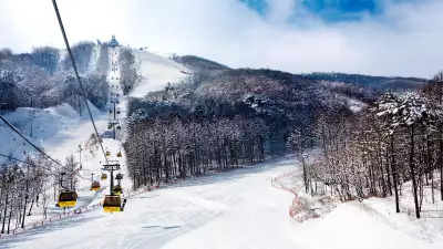 The gondola at Bokwang Phoenix Park, South Korea