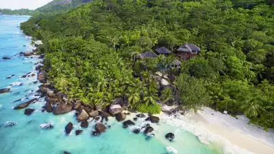 Forests of Seychelles