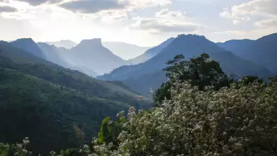 Hiking the cloud forests of Laos