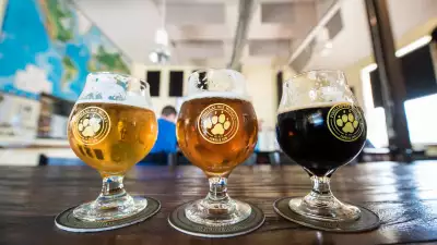 St Pete/Clearwater beer trail