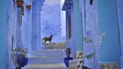Morocco with Rug and Rock