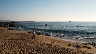 Walking the dog on the beach in Porto