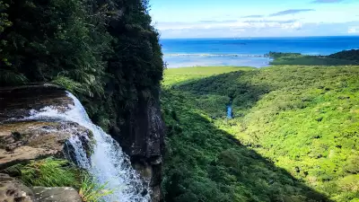 Jungles in Iriomote Island, Japan