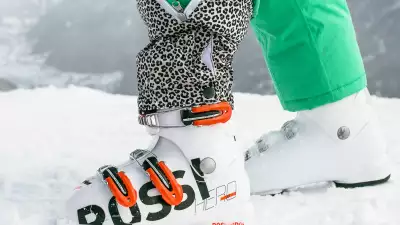 Dino suit details