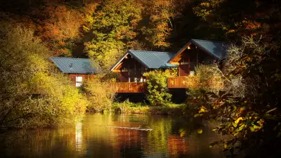 A Forest Holidays cabin