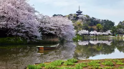 Japan Rugby World Cup 2019p: Yokohama's historic Sankeien garden