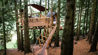 Self-catering accommodations in the UK and Ireland: Puckshipton Treehouse