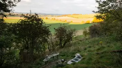 Self-catering accommodations in the UK and Ireland: Puckshipton Treehouse