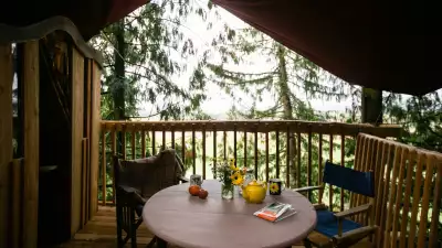 Self-catering accommodations in the UK and Ireland: Puckshipton Treehouse