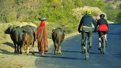 Intrepid Travel cycle Kerala