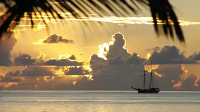 Liveaboard diving in the Seychelles