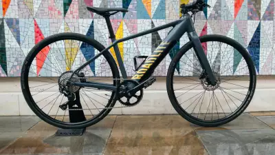 Canyon RoadLite:ON e-bike