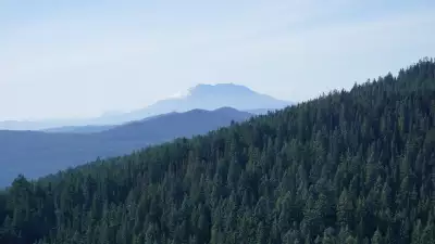 Views of Mt Hood and Mt Adams from Gifford Pinchot National Forest