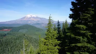 Views of Mt Hood and Mt Adams from Gifford Pinchot National Forest