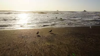 The shore at sunset on Rialto Beach, Washington