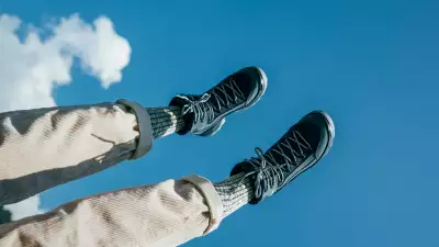 Lowa 25 Years Renegade GTX MID hiking boots
