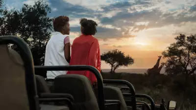 Spotting giraffe on safari in South Africa