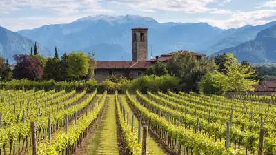 Franciacorta Vigneti