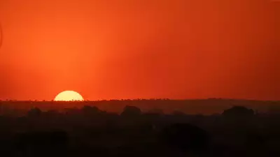 The sun setting over the bush