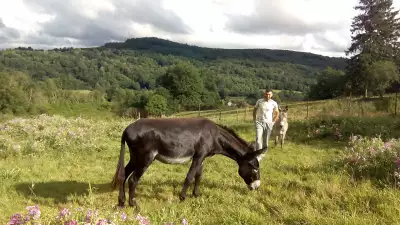 Donkey at Anes-de-Vassivi&egrave;re