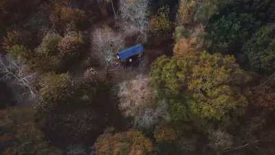 Unyoked Maynard from above