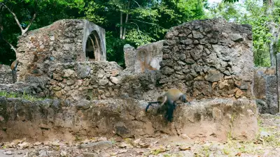 The Gedi Ruins and Mida Creek in Watamu, Kenya