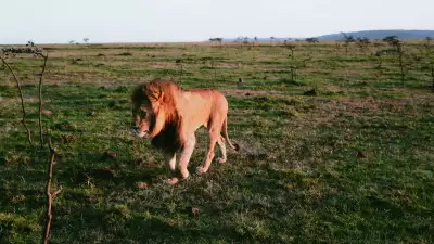 Ol Seki Mara, Kenya