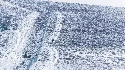 A fence crossing on a decline