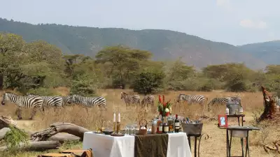 Dining in front of Zebras on SkySafari