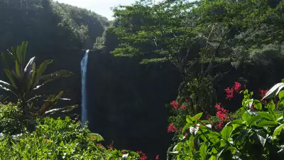 The Big Island, Akaka Falls State