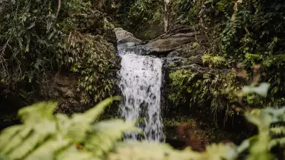 Waterfall in El Yunque