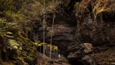 Trowutta Arch