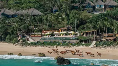 Sumbanese ponies running along Nihiwatu Beach