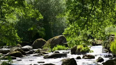 La Vall&eacute;e des Peintres