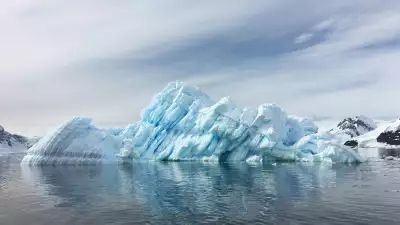 Icebergs in Antarctica