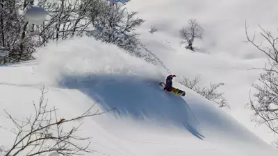 Niseko, in Japan, is a haven for power hounds looking for fresh snow