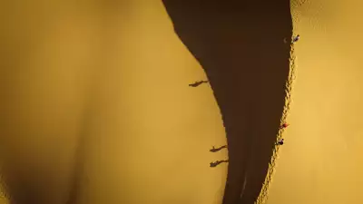 The Sand Dune Sea
