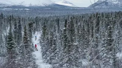 Dog sledding near Fish Lake in the Yukon Territory