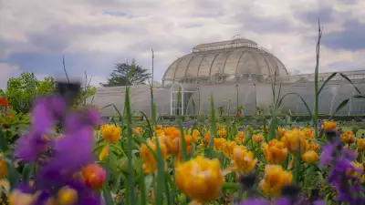 Palm House at Kew Gardens