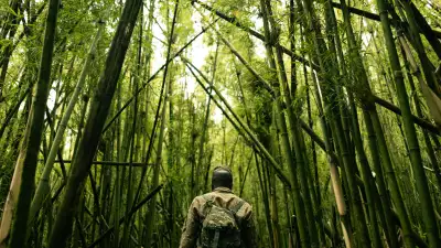 Mgahinga Bamboo